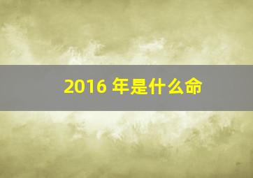 2016 年是什么命